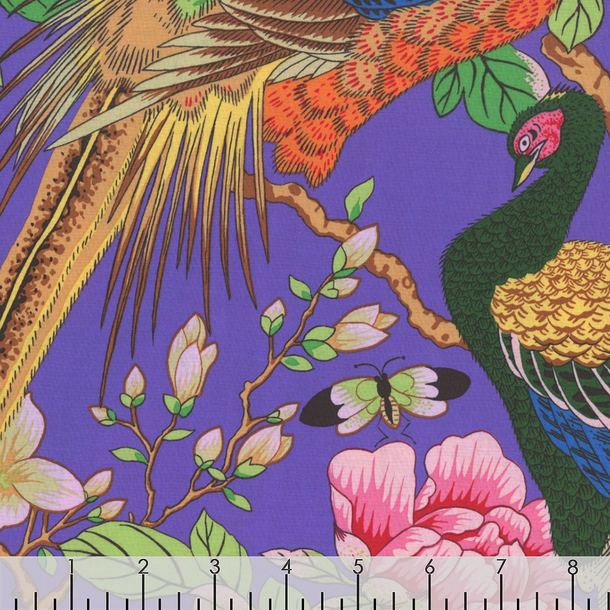 FreeSpirit Fabrics Kaffe Fassett Collective August 2026 Birds and